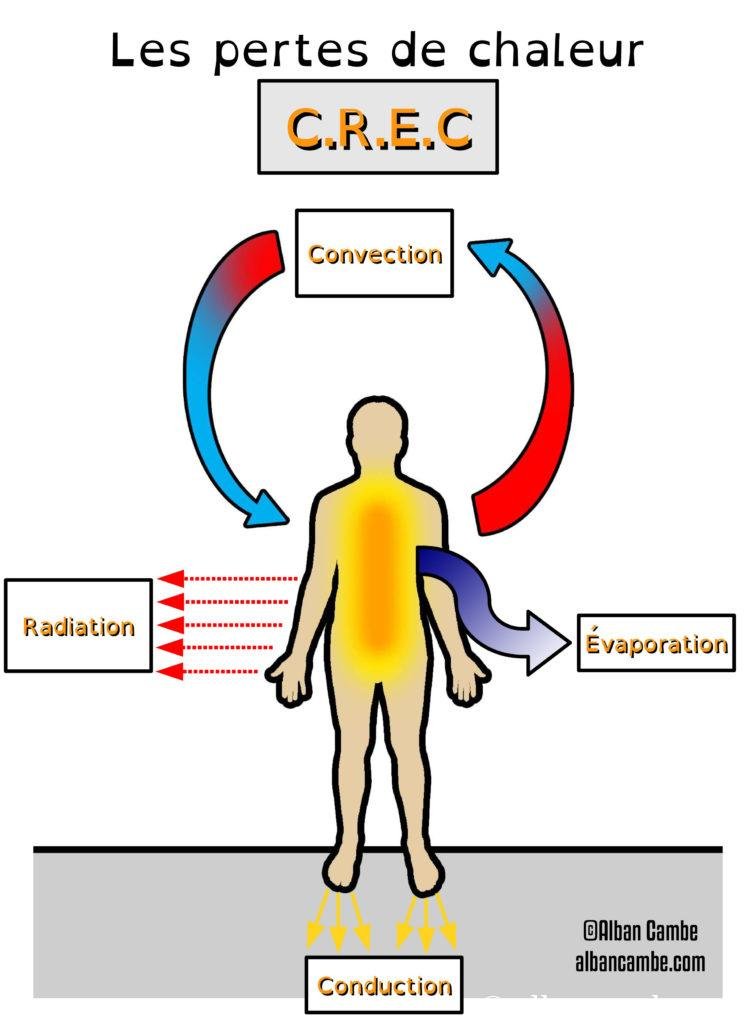 Les pertes de chaleur du corps humain hypothermie